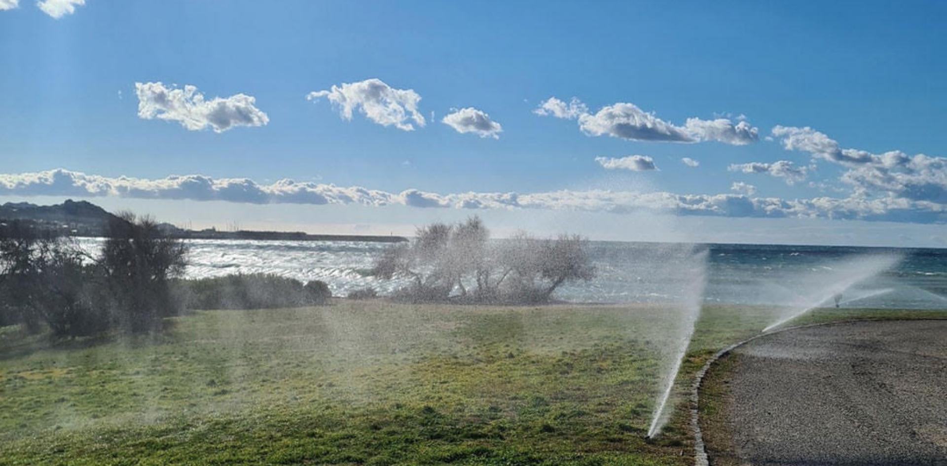 Marseilles: A Pioneering City in Landscape Management