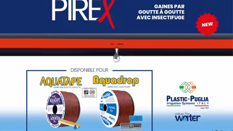 PIREX  