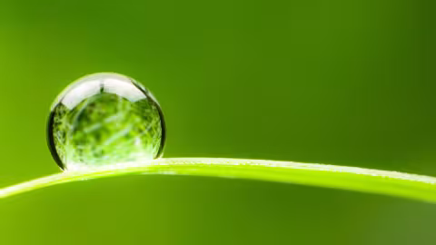 The EIA held its Autumn Irrigation Forum on October 8, 2021
