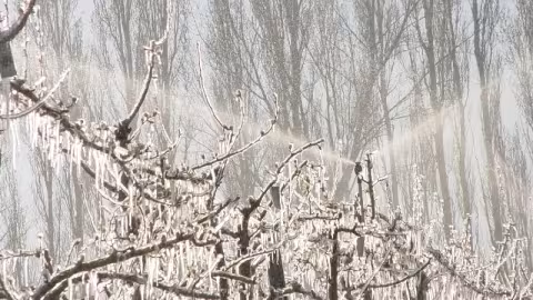 Dans des conditions extrêmes, des installations avec un hivernage correct peuvent subir des dommages