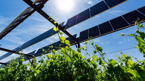 L'Association Européenne d'Irrigation (EIA) a organisé le 30 juin 2022 un Forum d'été virtuel sur l'irrigation.