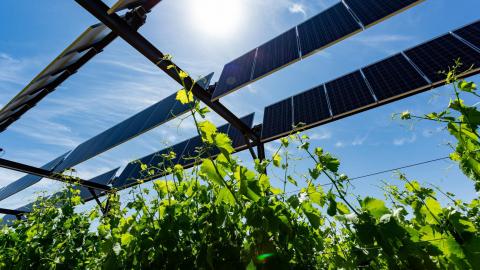 L'Association Européenne d'Irrigation (EIA) a organisé le 30 juin 2022 un Forum d'été virtuel sur l'irrigation.