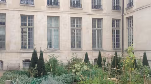 un potager urbain dans le centre de Paris, dans le quartier du Marais