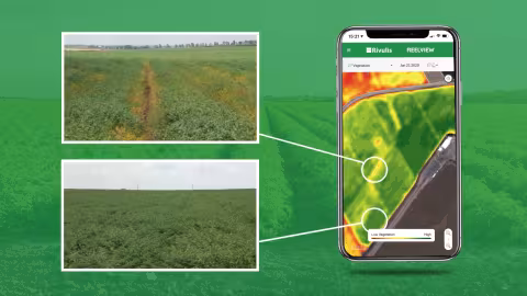 Rivulis offers a free service toits customer growersfor monitoring crops and detecting irrigation issues with satellite imagery.