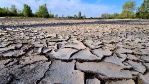Sécheresse : la France est dans une "phase critique" du réchauffement climatique